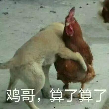 娱乐吃瓜酱抓鸡,揭秘娱乐圈背后的趣味故事