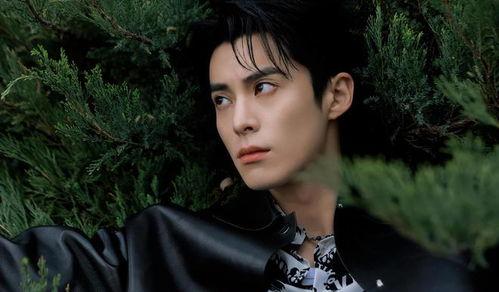 王鹤棣娱乐吃瓜大爆料