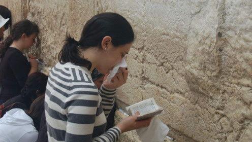 娱乐吃瓜君 网红