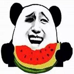 吃瓜群有没有,网络社交的趣味与争议